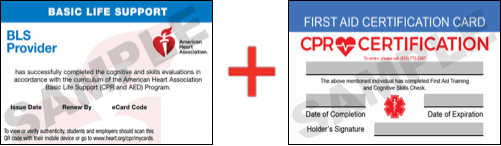 Sample American Heart Association AHA BLS CPR Card Certificaiton and First Aid Certification Card from CPR Certification Huntsville