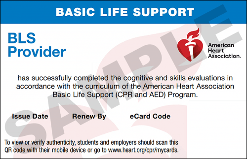 Sample American Heart Association AHA BLS CPR Card Certification from CPR Certification Huntsville