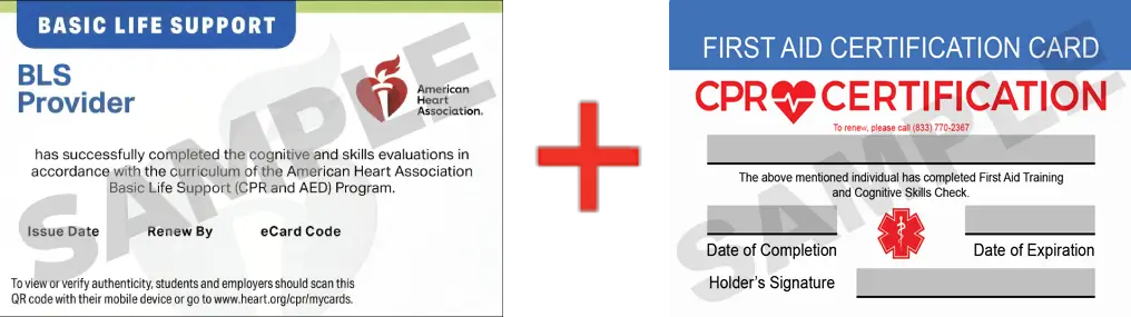 Sample American Heart Association AHA BLS CPR Card Certification and First Aid Certification Card from CPR Certification Huntsville